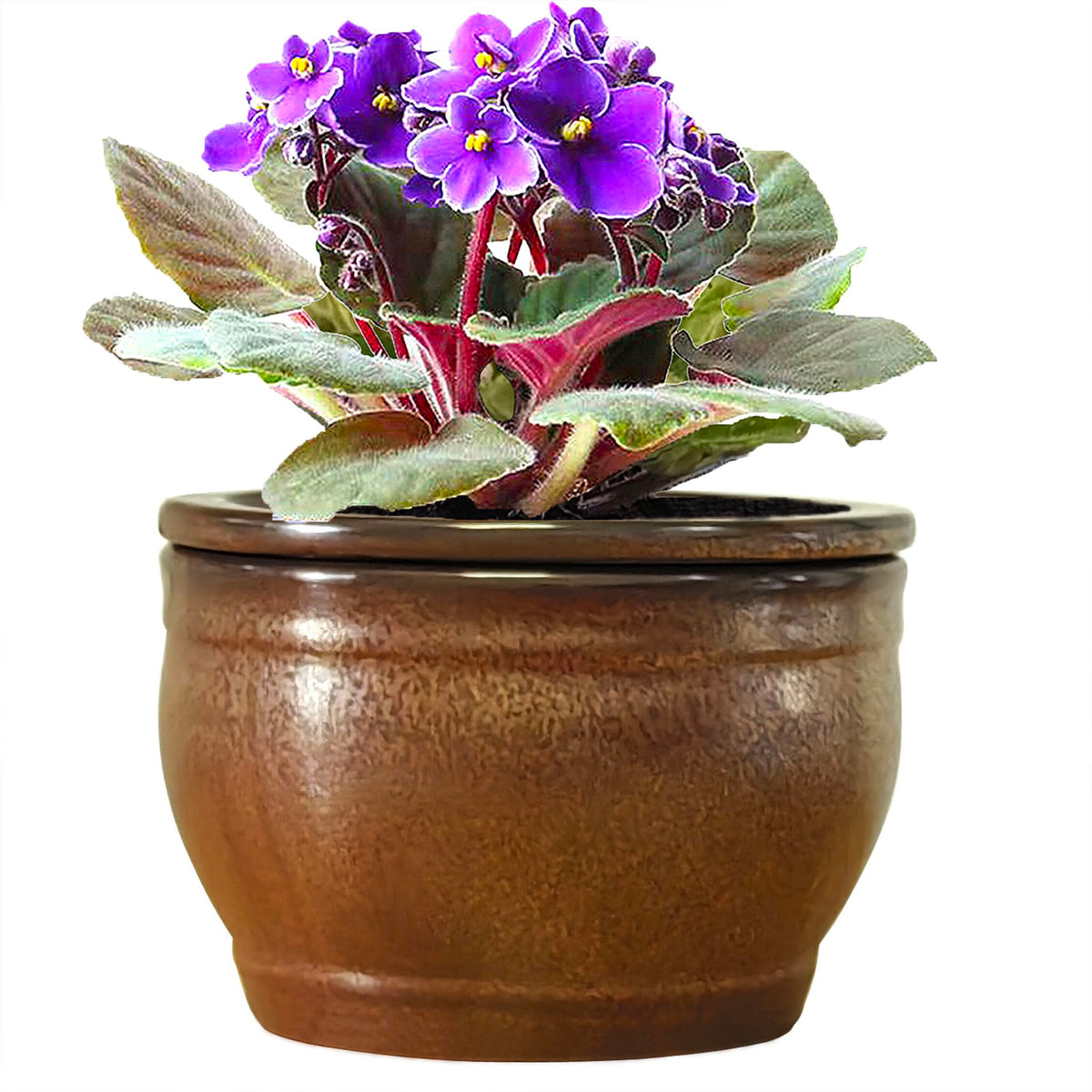 Dphagesy copper front view showing stylish self-watering benefit