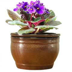 Dphagesy copper front view showing stylish self-watering benefit