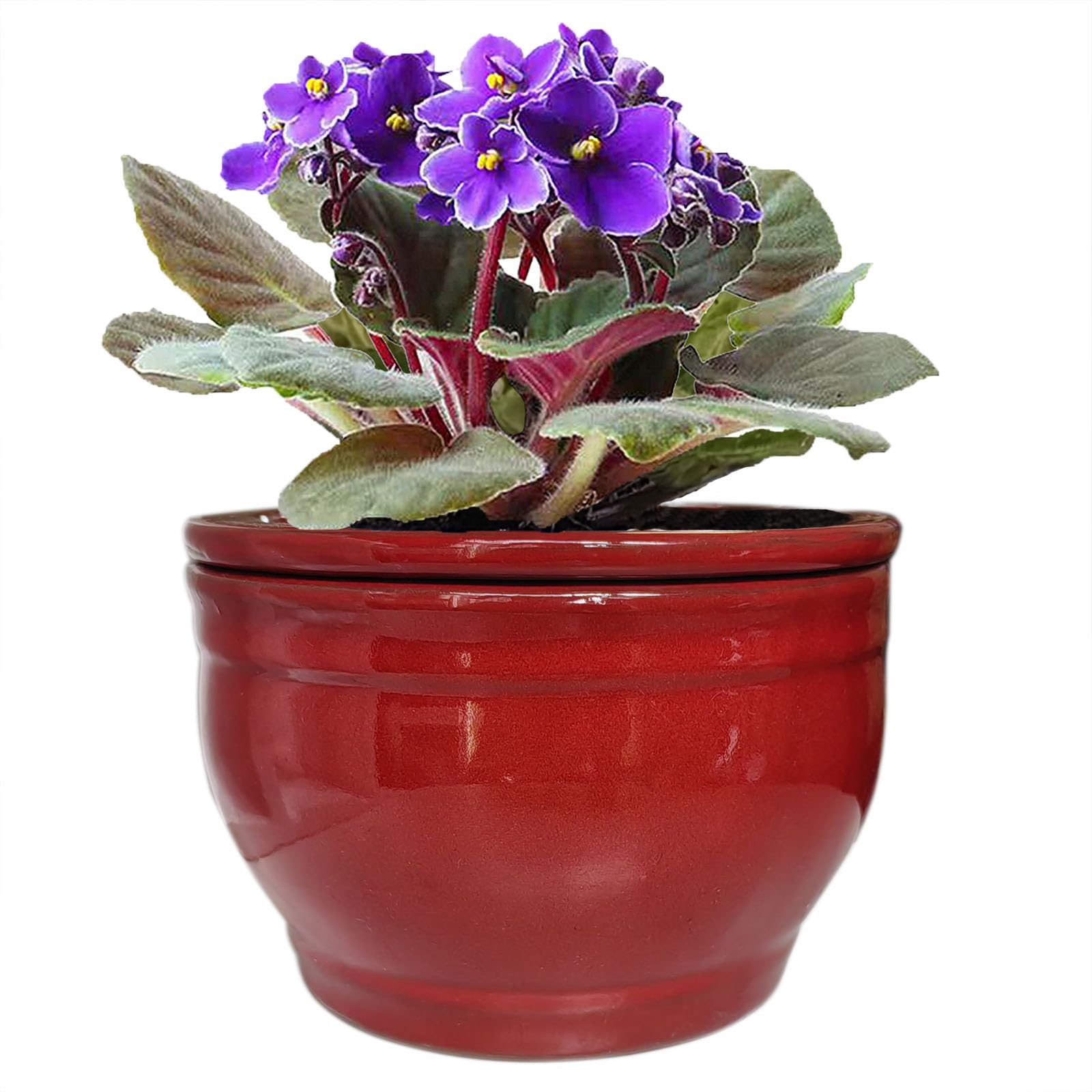Dphagesy front view red pot showing neat planter on table, attractive display
