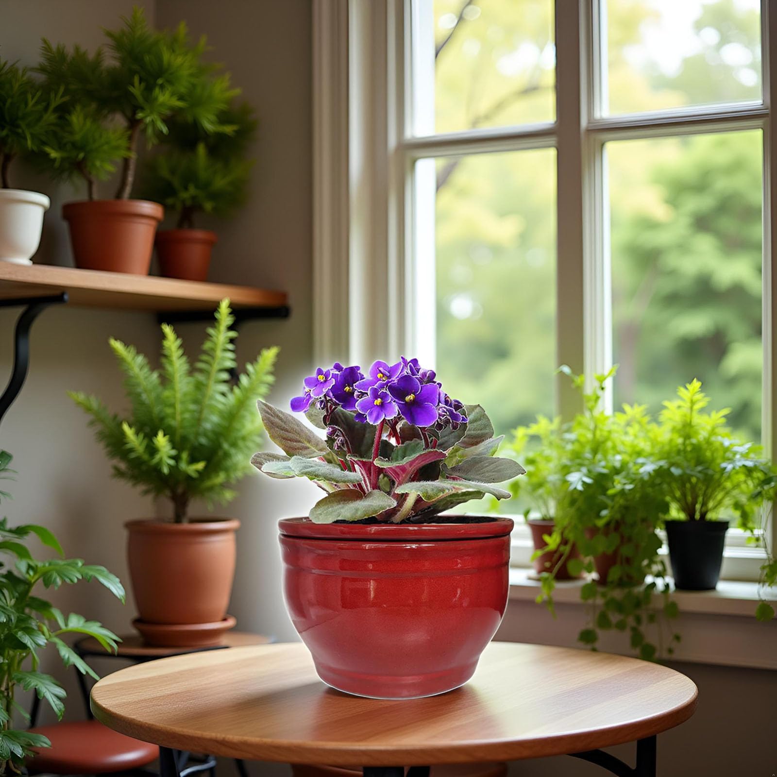 Dphagesy red pot in living room setting adding color and tidy plant care