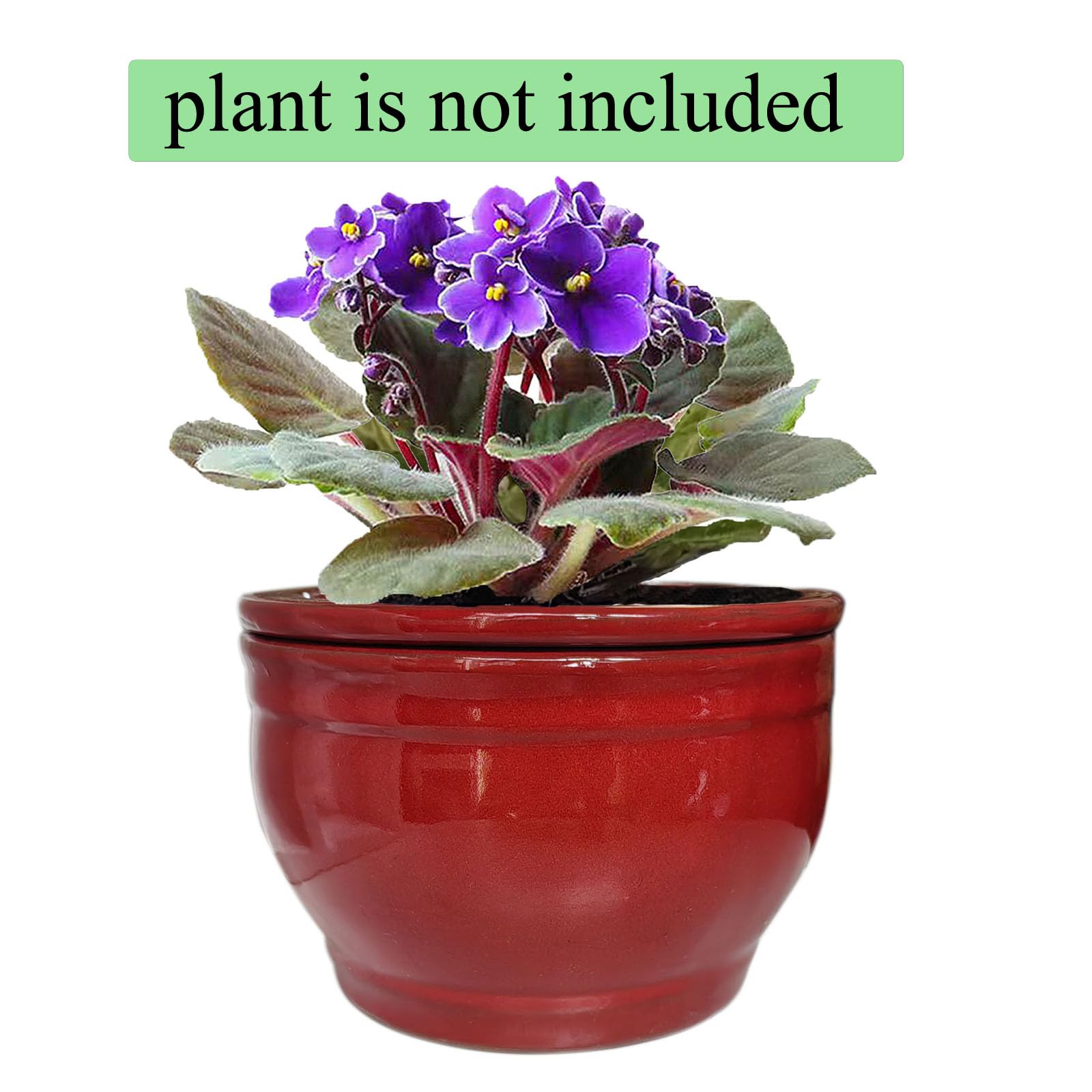 Dphagesy pot next to ruler demonstrating 6-inch outer diameter for scale