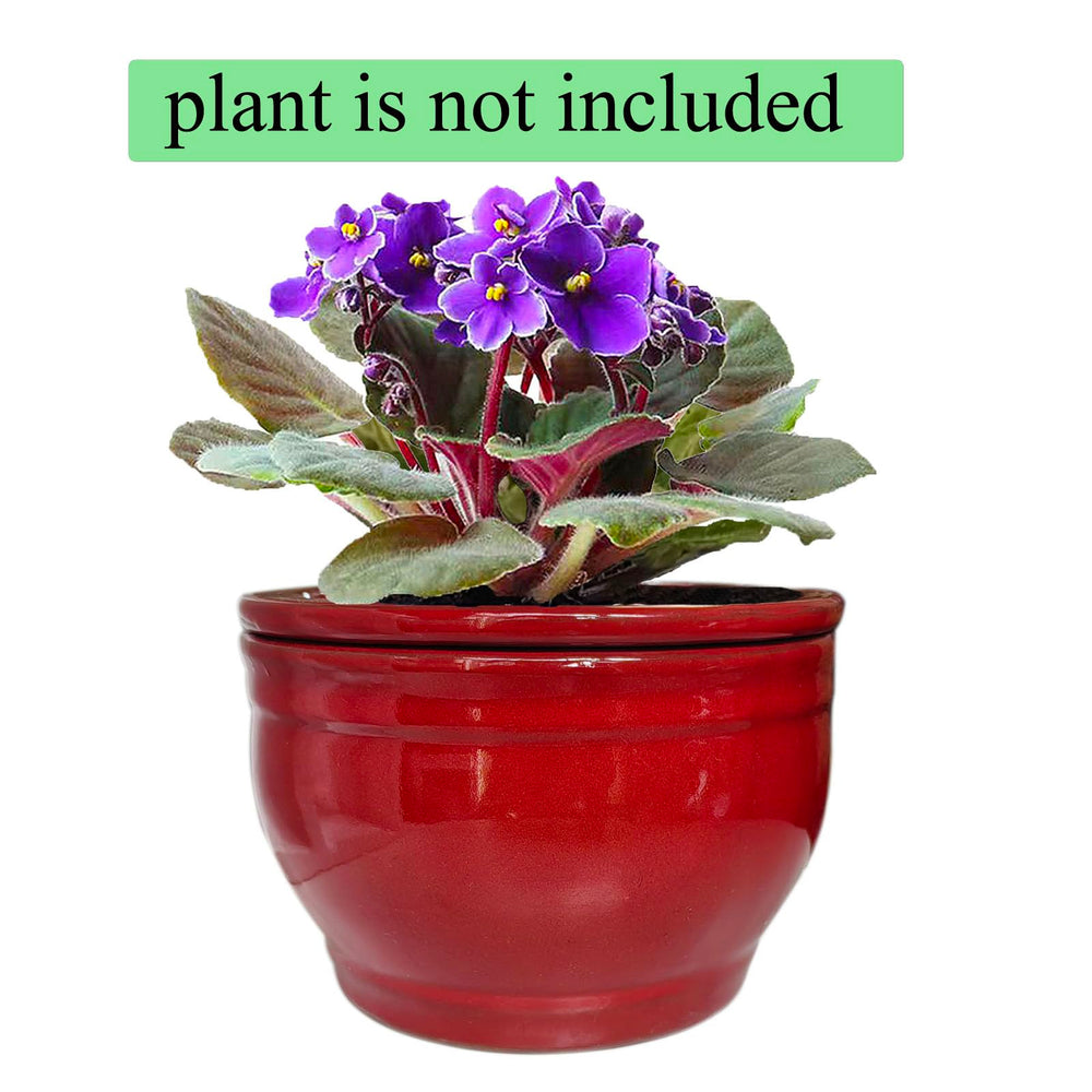 Dphagesy pot next to ruler demonstrating 6-inch outer diameter for scale