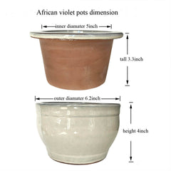 Dphagesy unglazed inner pot top view illustrating breathable surface for roots