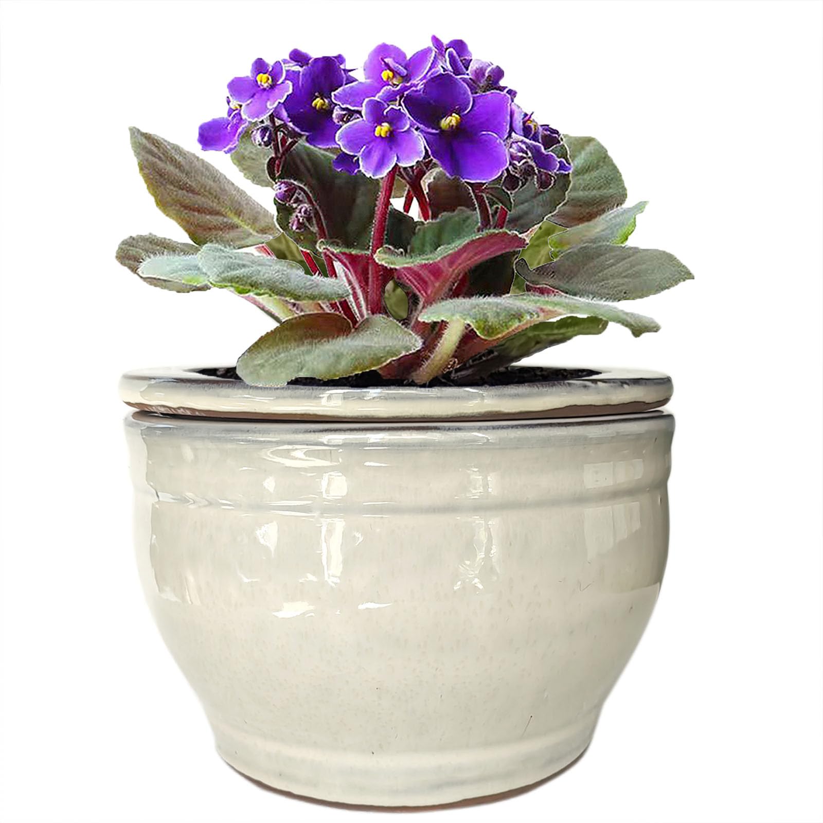 Dphagesy white outer pot front view shows elegant finish and stable base