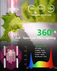 DPROOTS pod detail showing planting hole and root zone visibility benefit