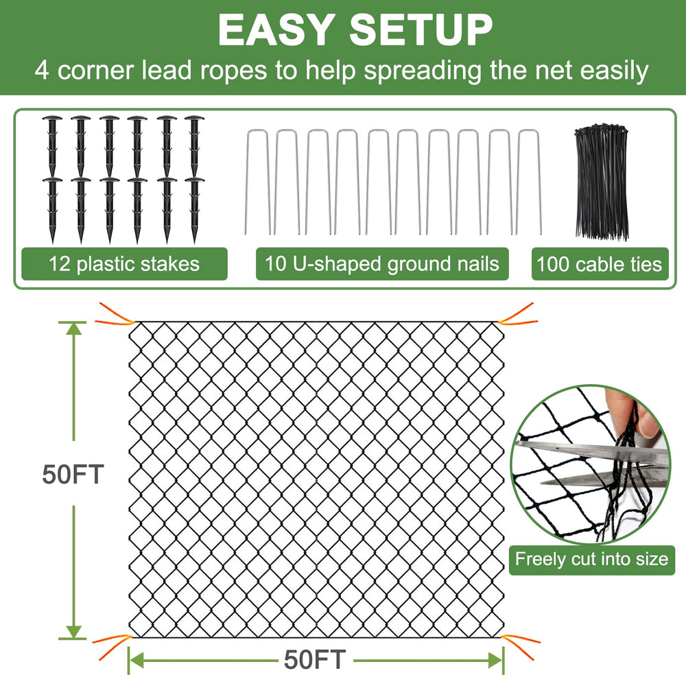 DQS netting covering berry beds protecting fruit while allowing sunlight and airflow
