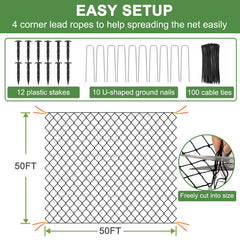 DQS netting covering berry beds protecting fruit while allowing sunlight and airflow