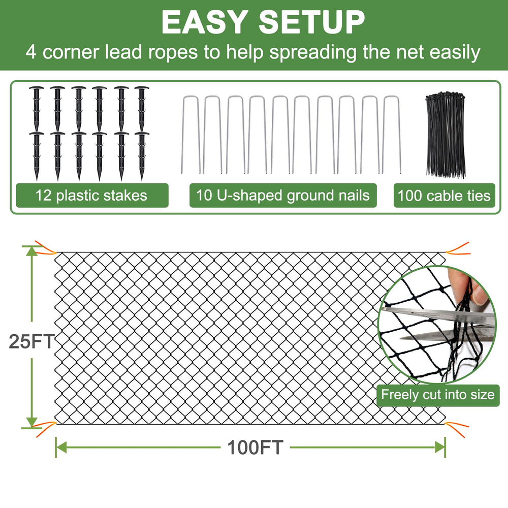 DQS netting used over berry bushes, protects fruit from birds