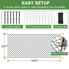 DQS netting used over berry bushes, protects fruit from birds