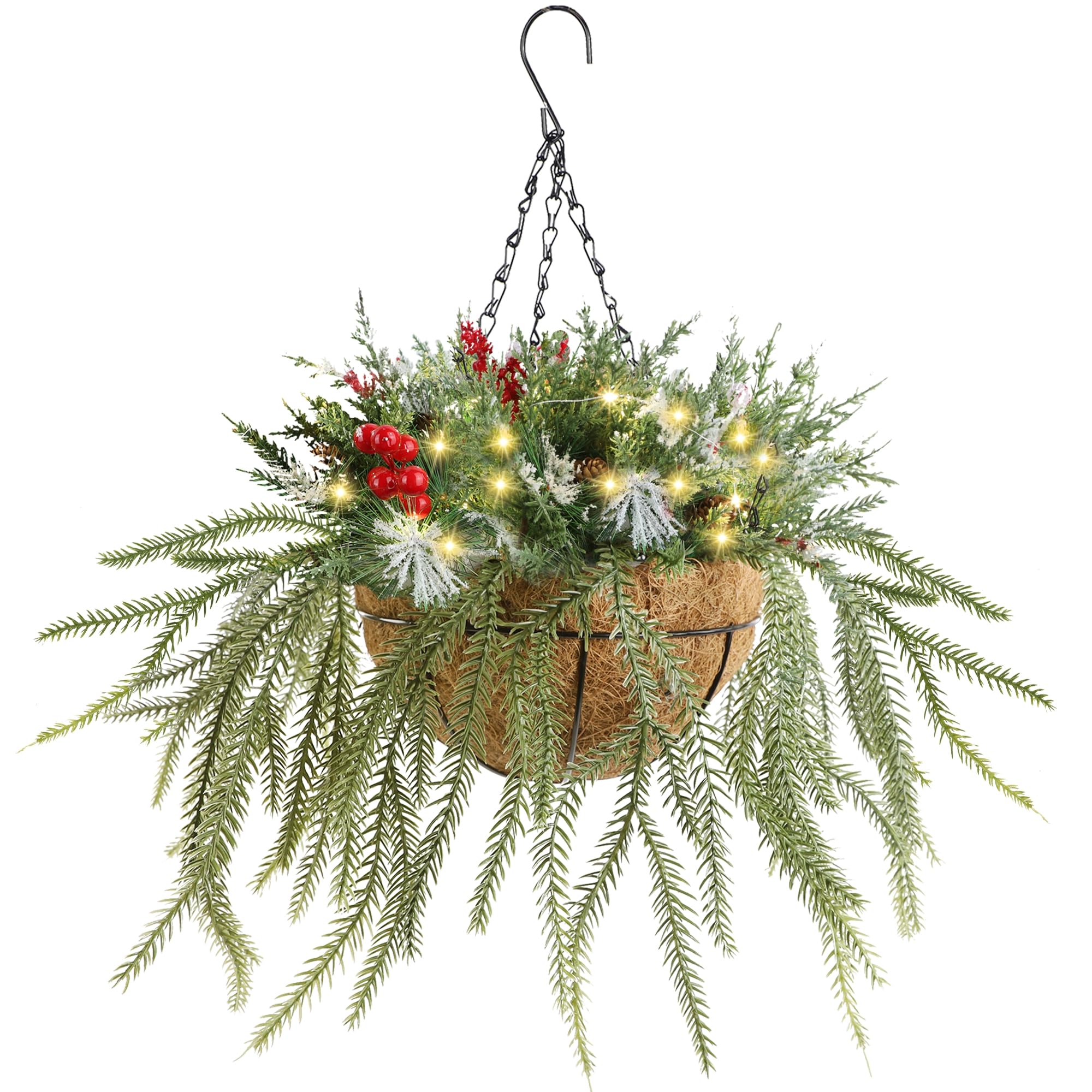 DR.DUDU front view of hanging basket showing festive arrangement and curb appeal