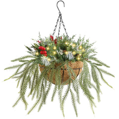 DR.DUDU front view of hanging basket showing festive arrangement and curb appeal
