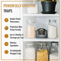 Dr. Killigan's open trap displaying sticky interior to capture moths effectively