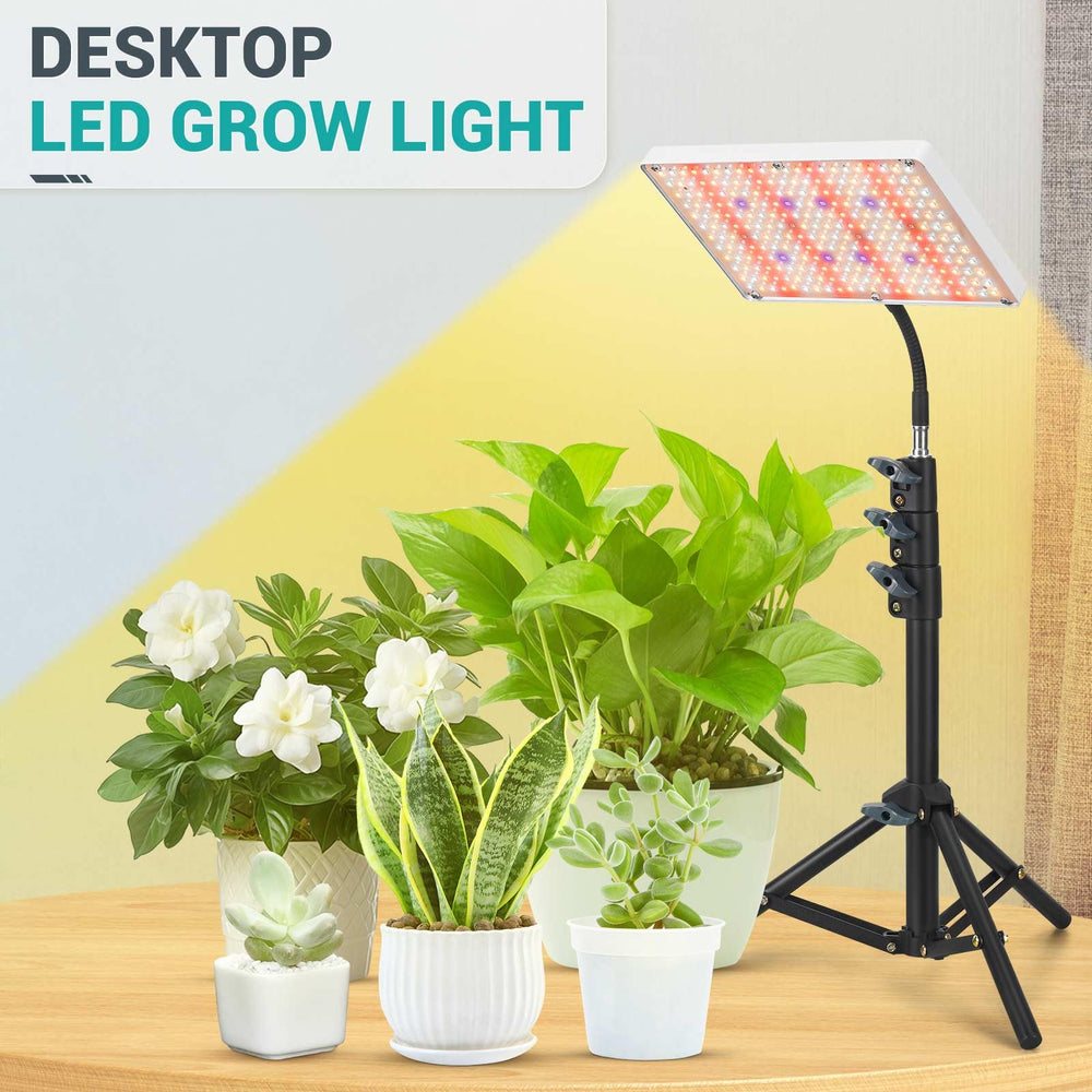 DragonLight beside potted plants showing adjustable height from 16 to 54 inches for scalable growth benefit