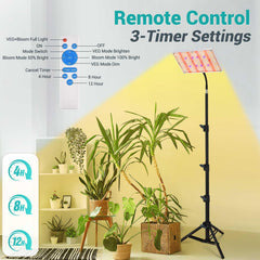 DragonLight remote control and timer display showing easy schedule and dimming control benefit