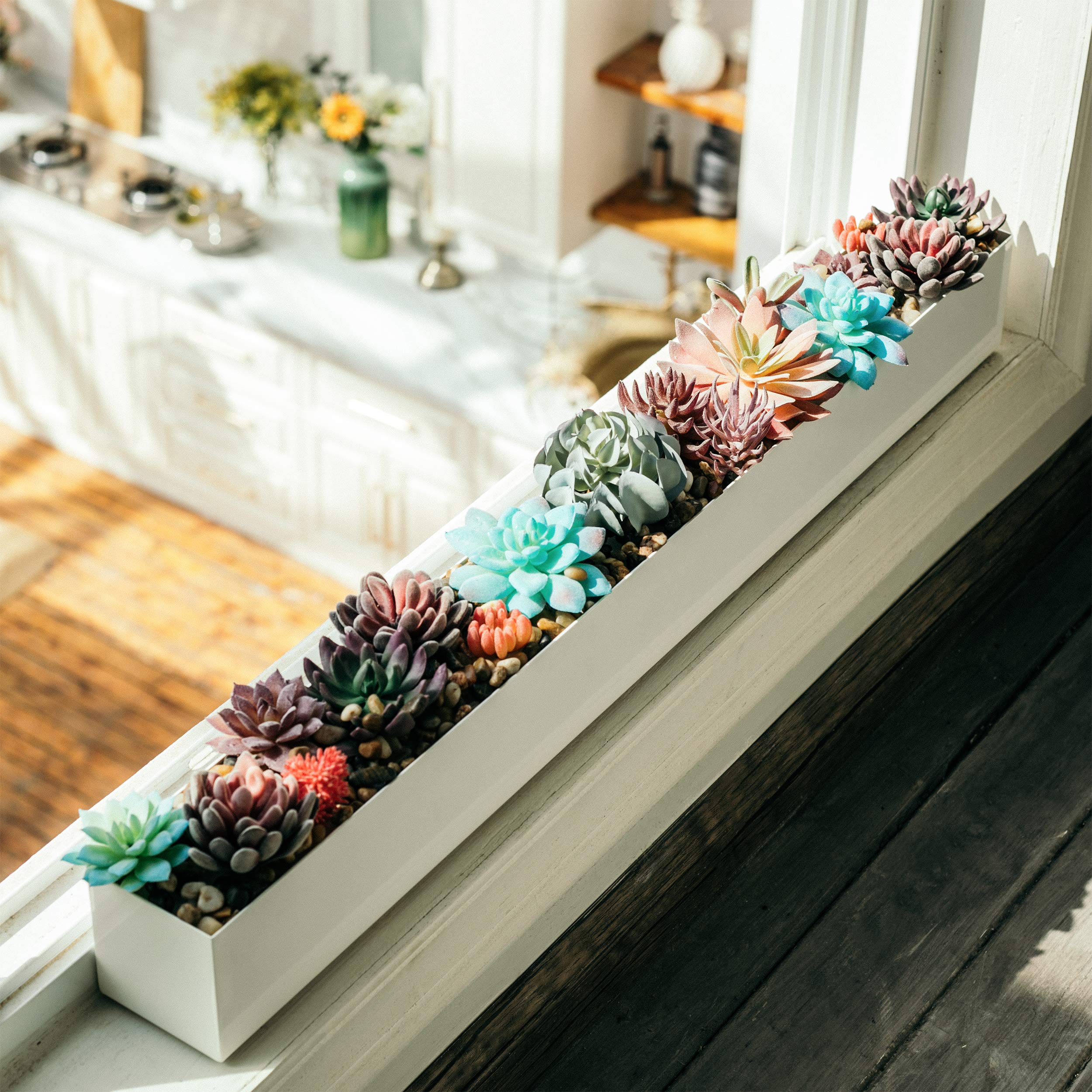 DR&Co planter top view filled with succulents showing neat arrangement benefit