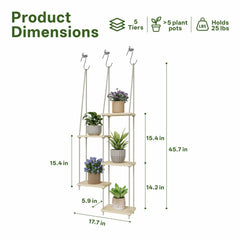 Drconox shelves holding small potted plants in a window increasing light exposure