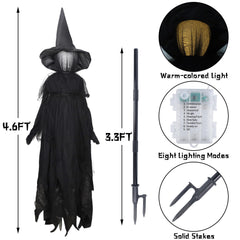 DR.DUDU witches lit at night along pathway creating warm inviting Halloween ambiance