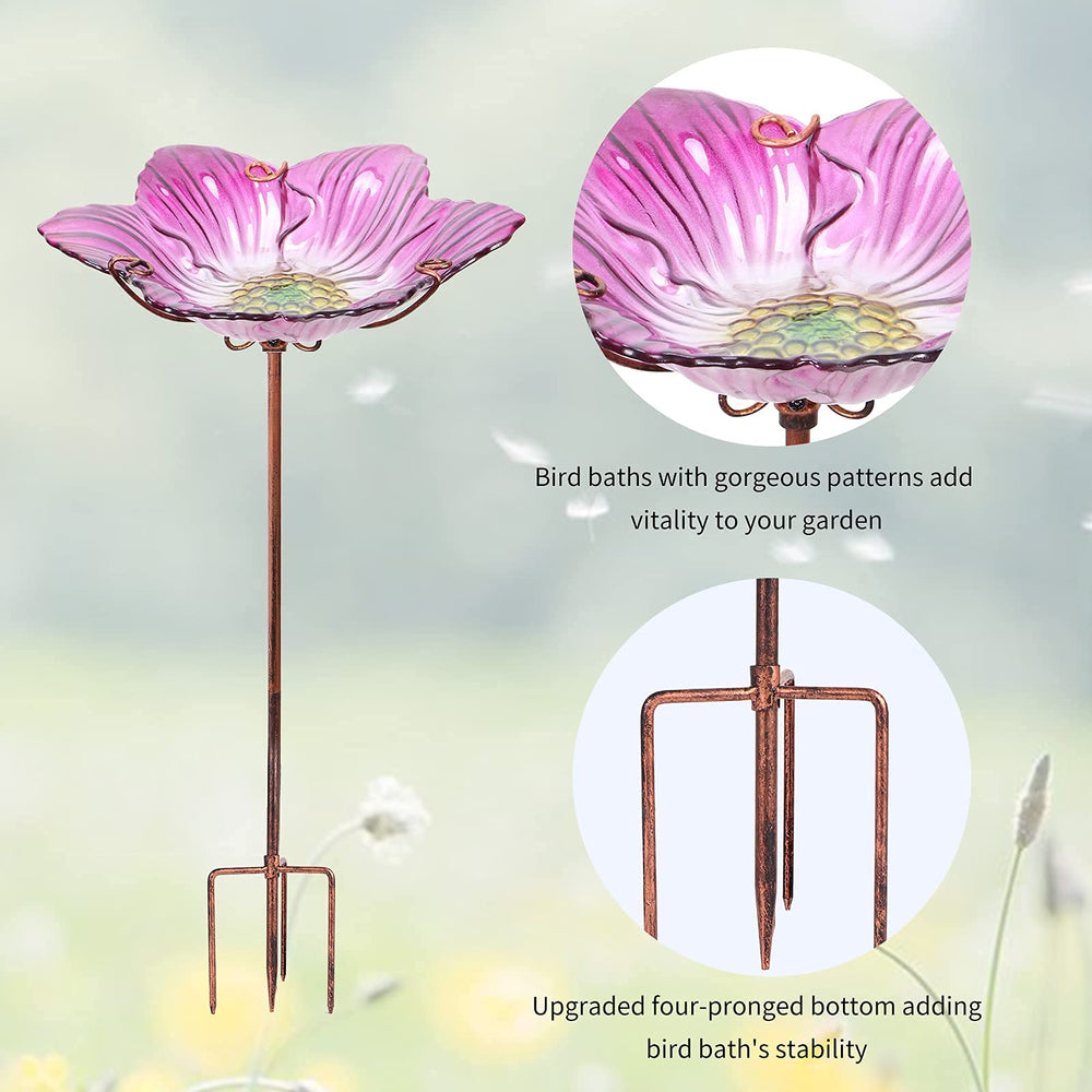 DREAM GARDEN small bird perched on rim demonstrating easy access and visitor appeal