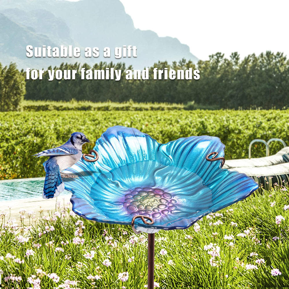 DREAM GARDEN small bird perching on bowl demonstrating safe access