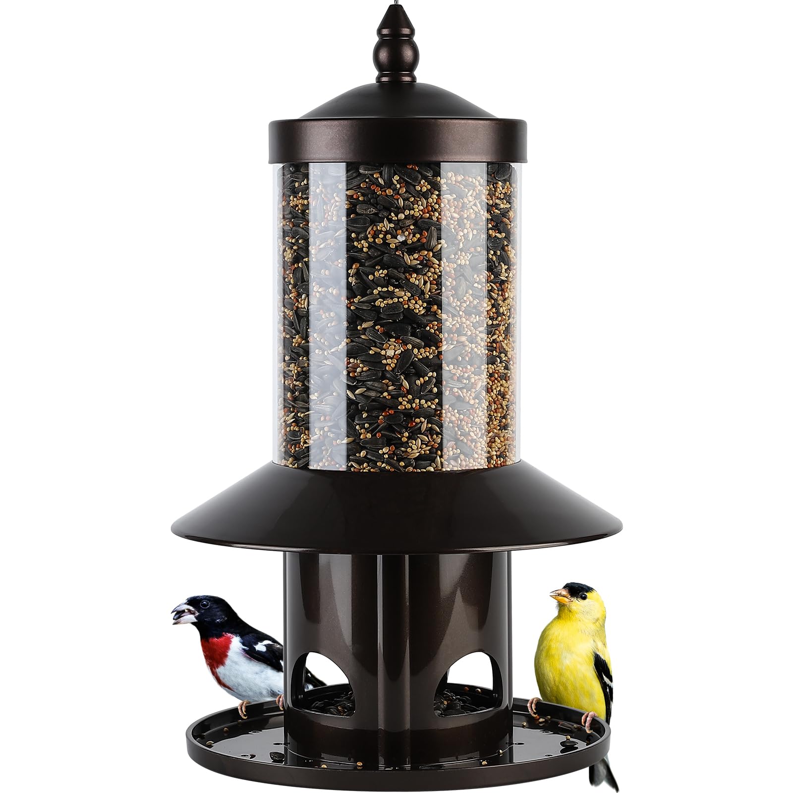 Dreamdrawer front view showing hanging feeder and clear benefits for backyard birdwatching