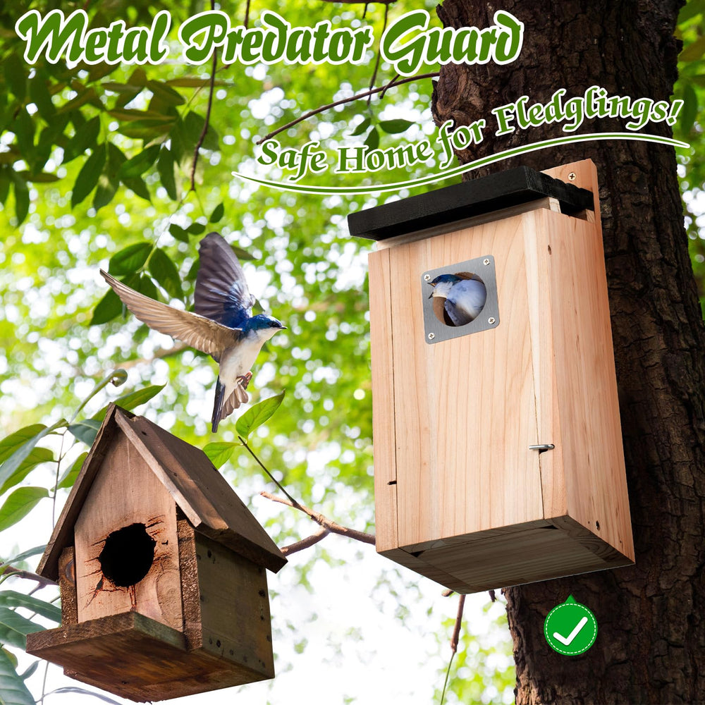 Dreyoo entrance metal guard closeup protecting nest and deterring predators