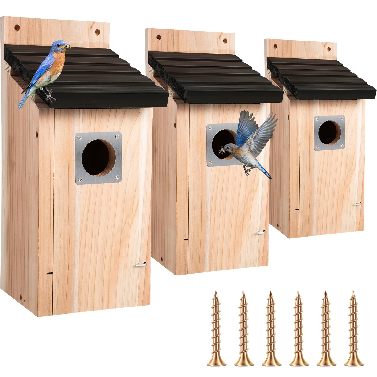 Dreyoo front view with black roof showing durable wood body and entrance — nest-ready