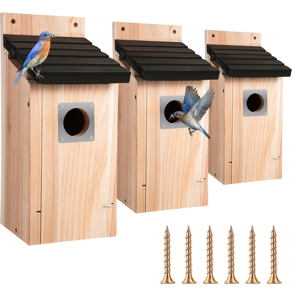 Dreyoo front view with black roof showing durable wood body and entrance — nest-ready