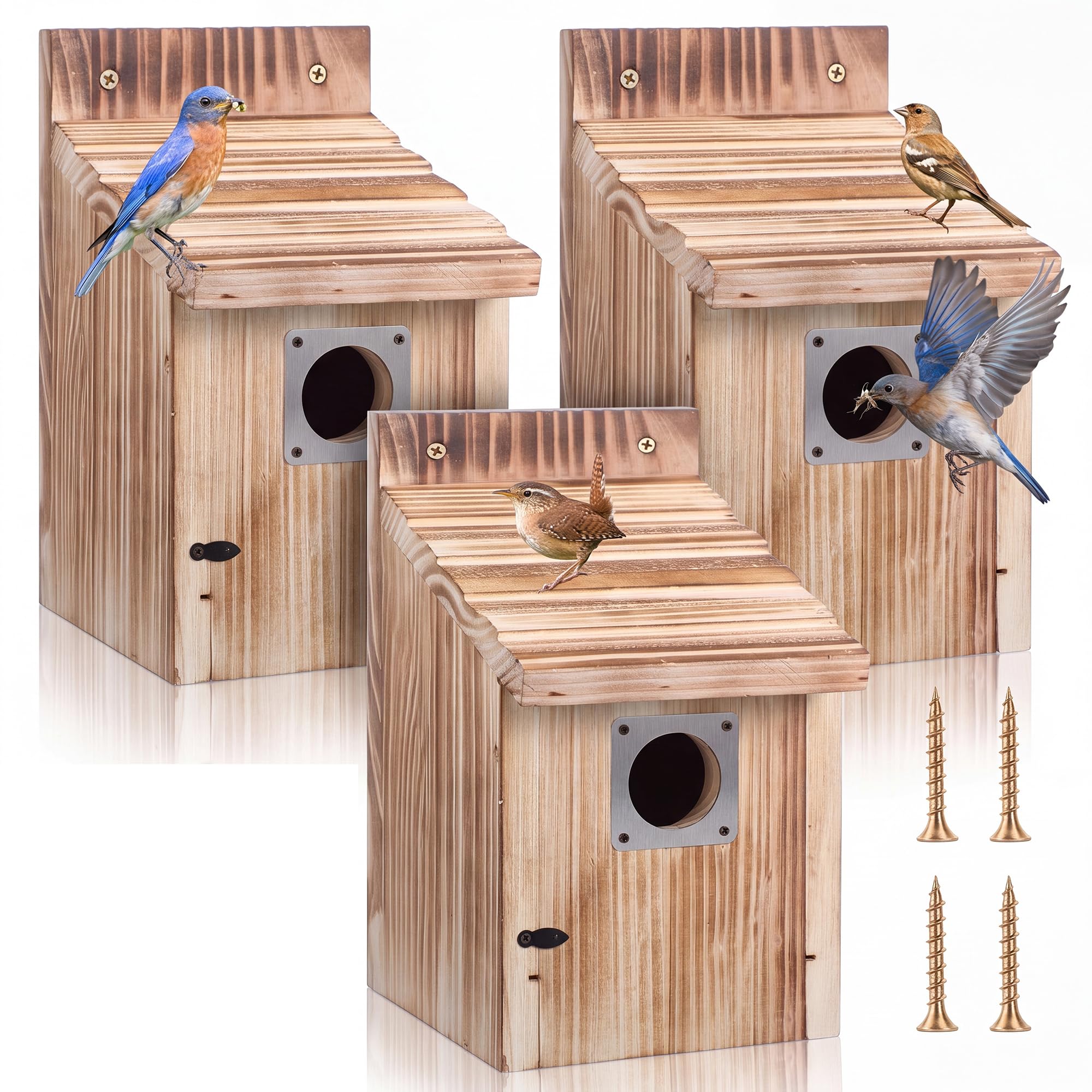 Dreyoo front view of three bluebird houses showing protection and curb appeal