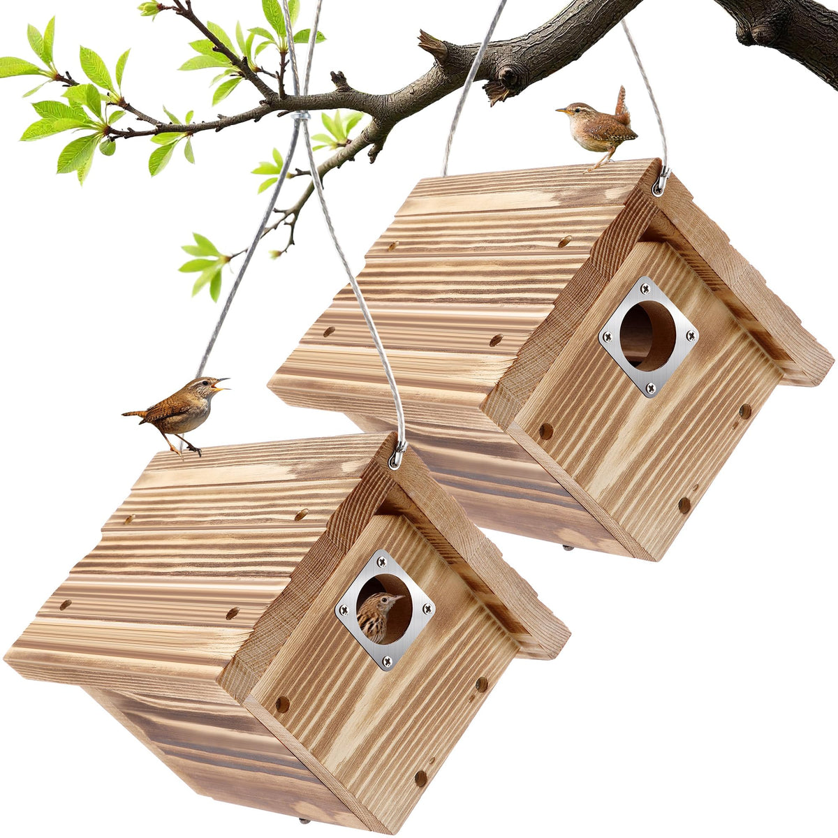 Dreyoo front view charcoal wren house showing entrance and elegant finish, invites nesting