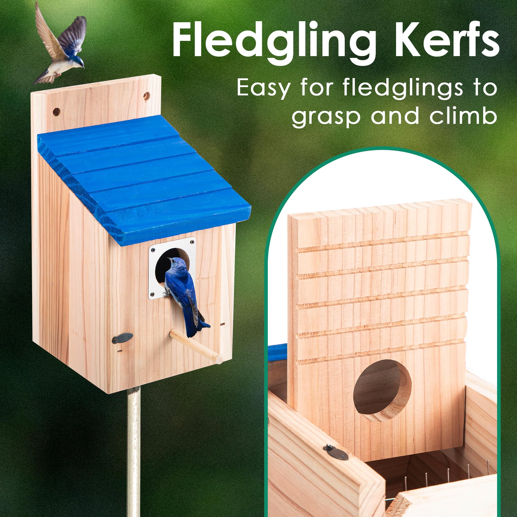 Dreyoo interior grooves close-up providing footholds to help fledglings exit safely