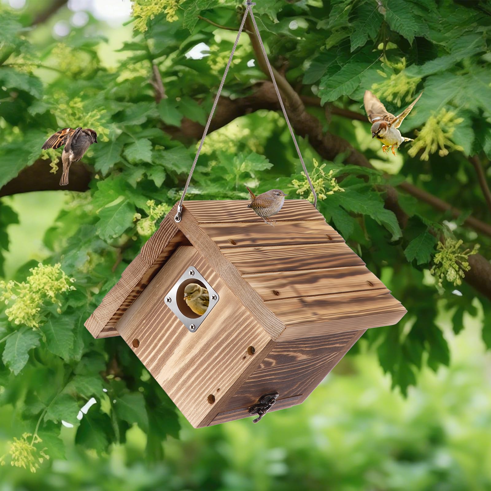 Dreyoo lifestyle garden setting with birdhouse adding charm and habitat to yard