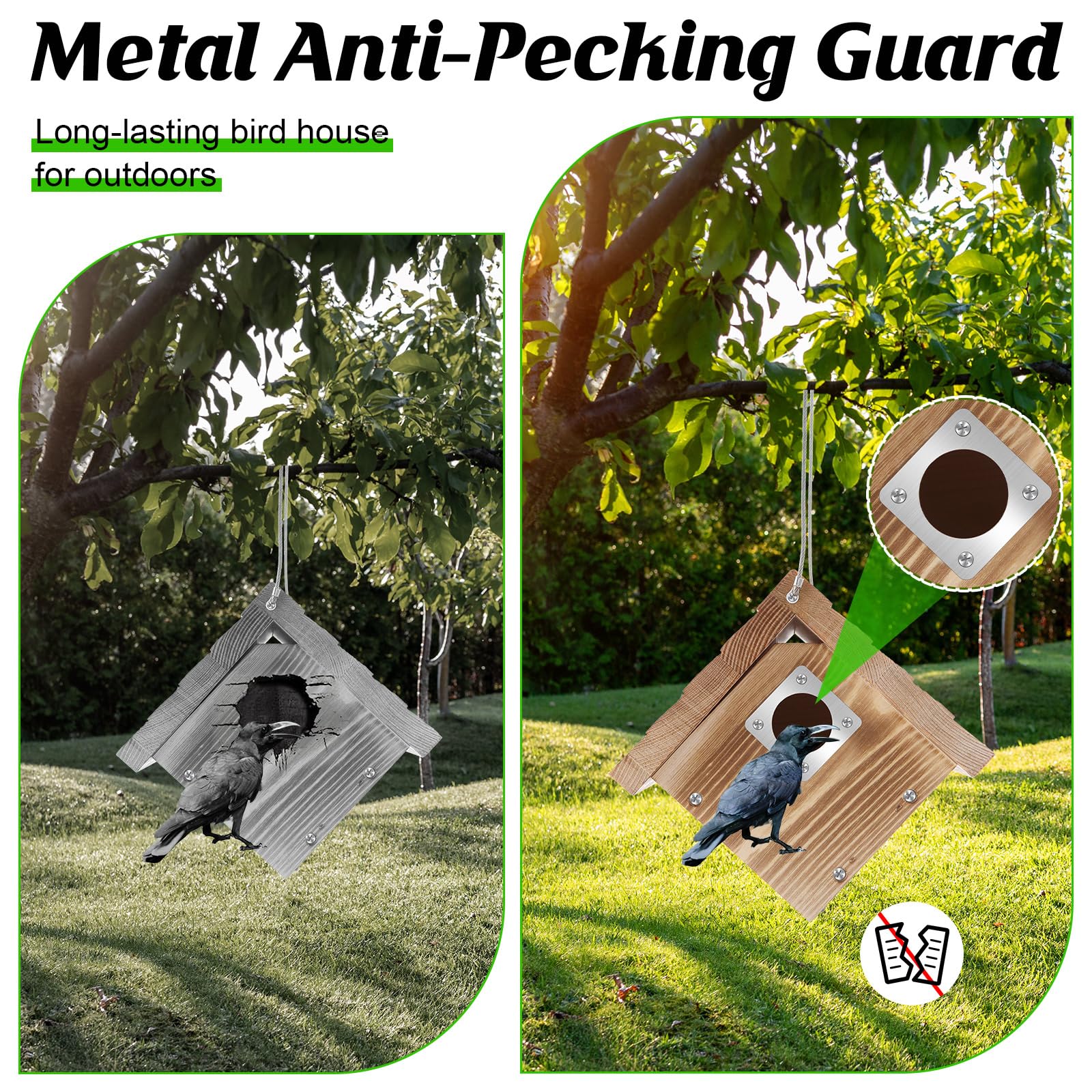 Dreyoo metal guard closeup protecting entrance hole, deters predators for safer chicks
