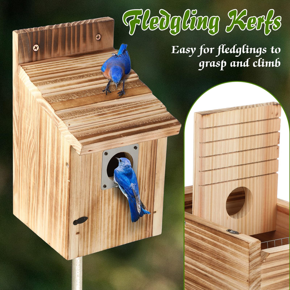 Dreyoo bluebird house mounted on post in backyard attracting birds