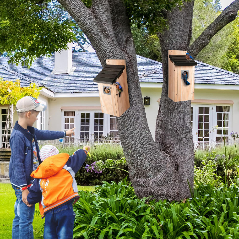 Dreyoo mounted on post backyard setting attracting bluebirds and enhancing yard