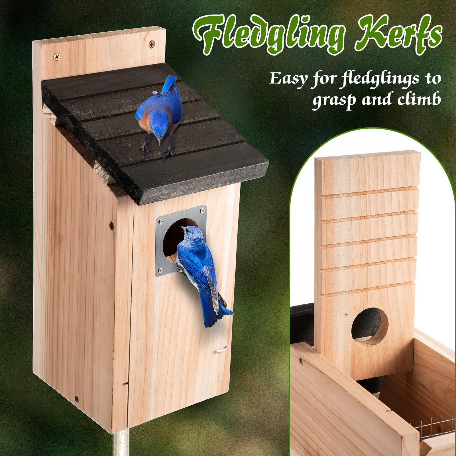 Dreyoo mounted on post in garden with perches nearby — ideal bird habitat
