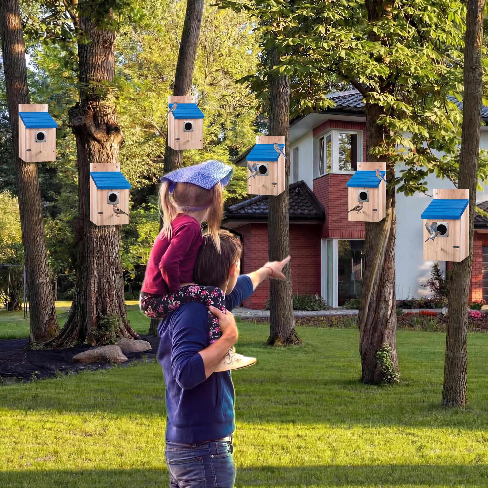 Dreyoo birdhouse mounted on tree in yard illustrating easy installation and natural placement