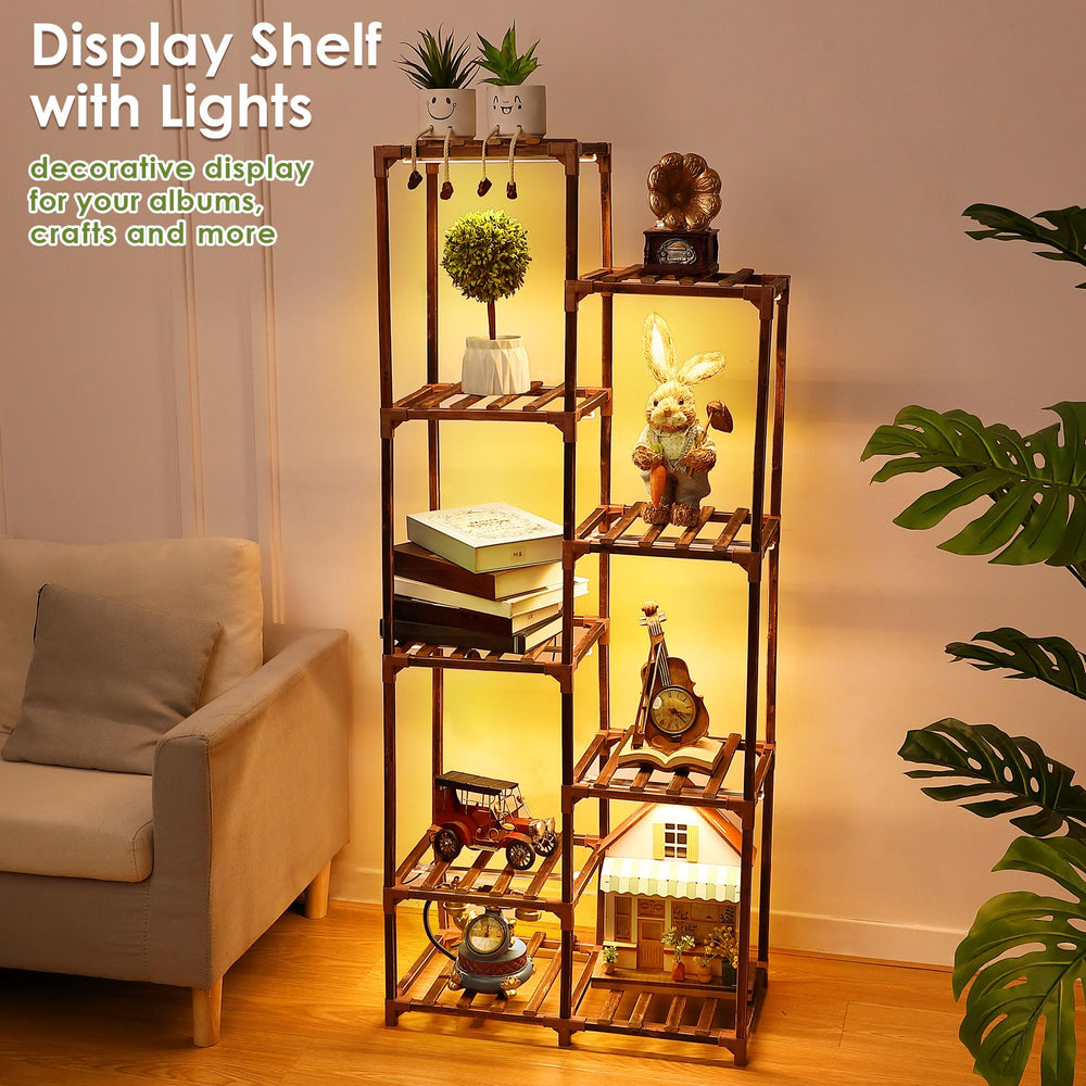 Dreyoo full shelf view with plants top to bottom demonstrating multi-tier display