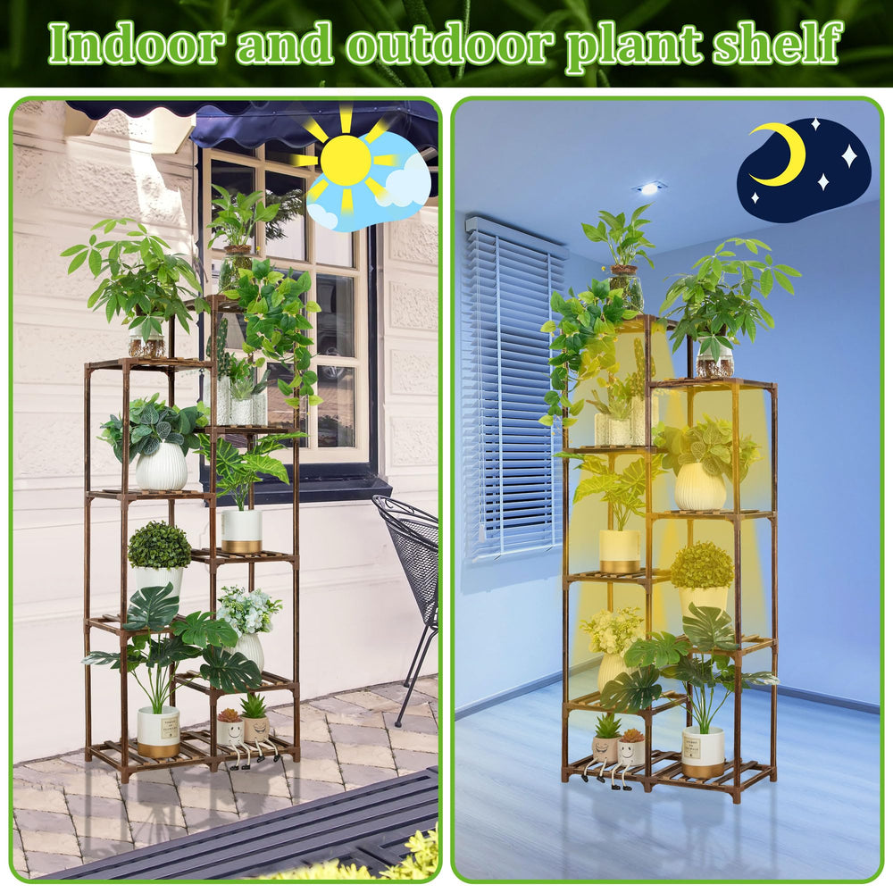 Dreyoo size and scale with potted plant to illustrate shelf capacity and dimensions