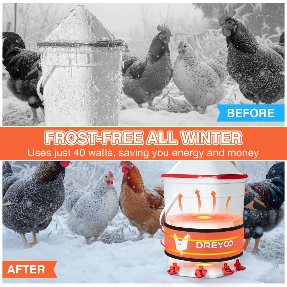 Dreyoo belt installed on chicken drinker in coop, keeps water unfrozen for birds