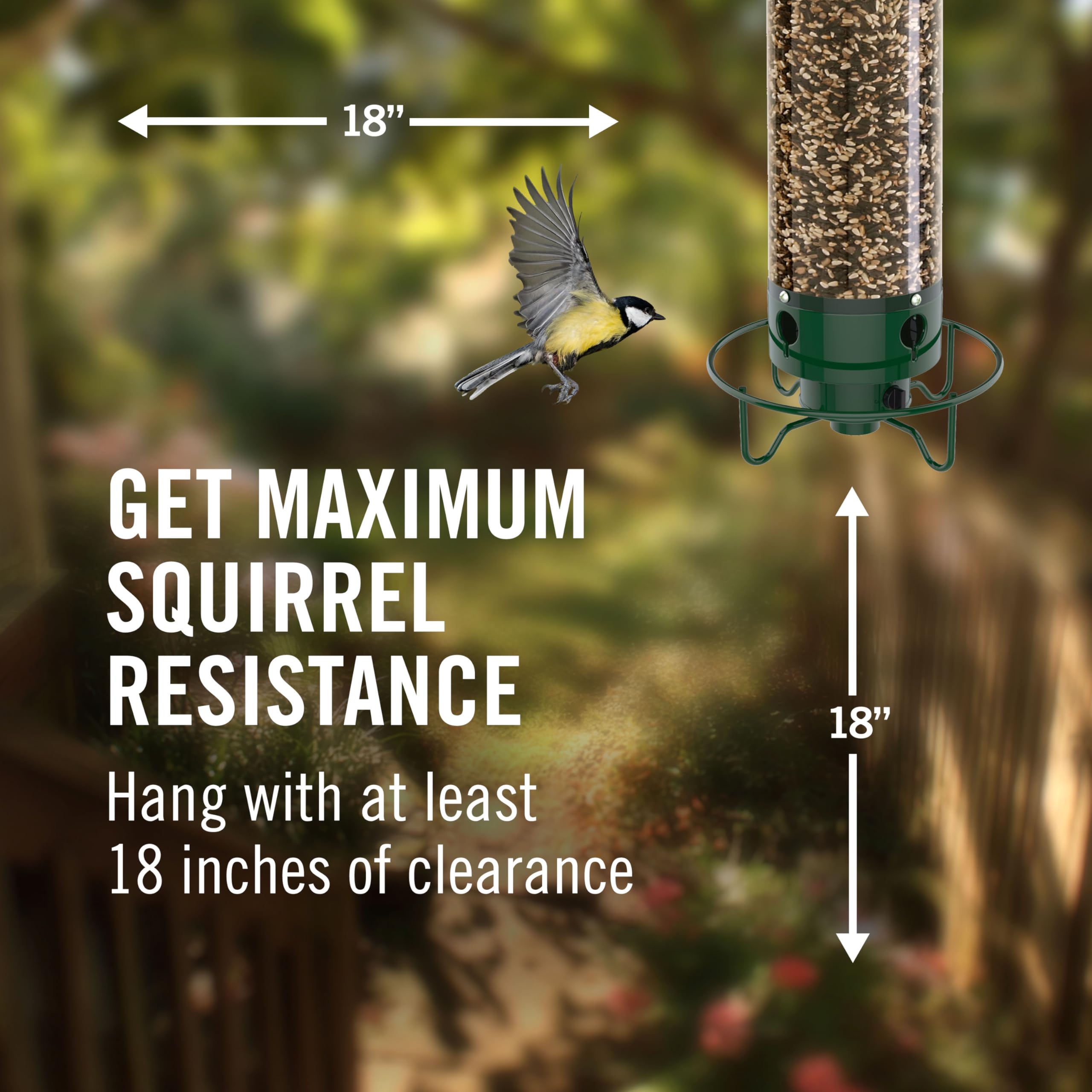 Droll Yankees feeder hung outdoors with songbirds feeding peacefully