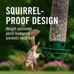 Droll Yankees close-up of feeding ports for consistent seed delivery to birds