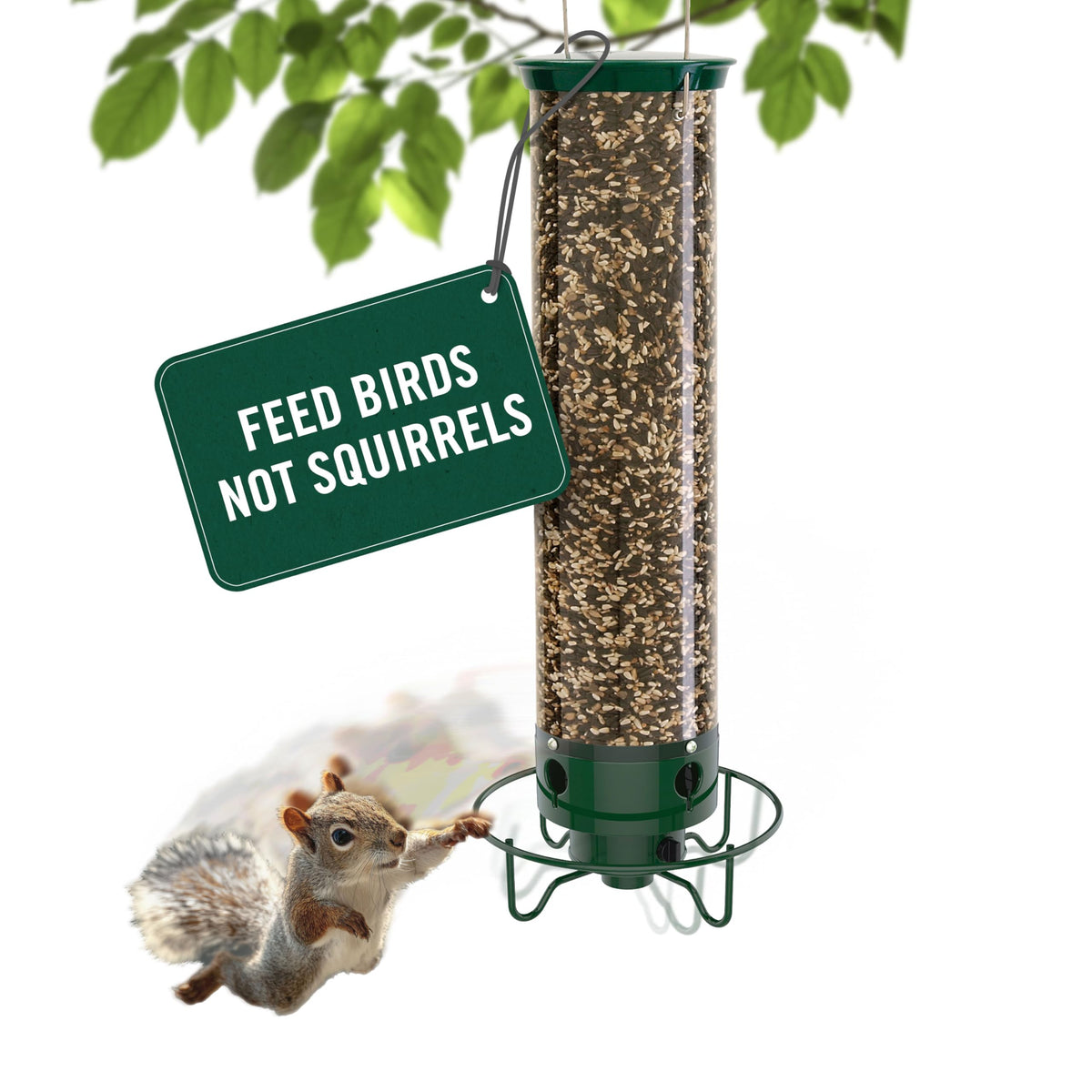 Droll Yankees front view of feeder showing four feeding stations and durability