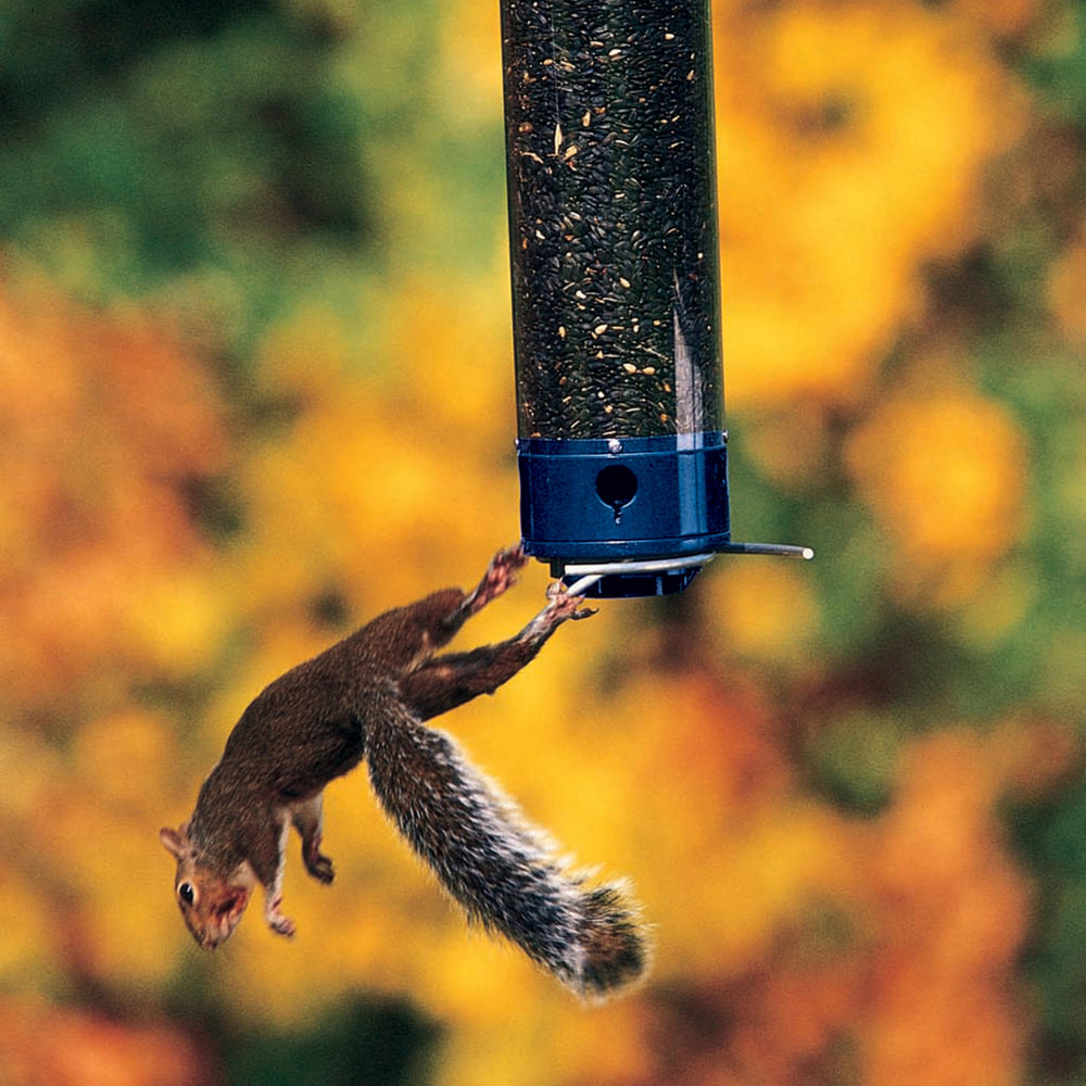 Droll Yankees close-up of collapsible perch demonstrating squirrel-proof action and bird safety