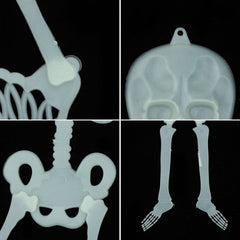 Droutti skeleton hung from tree showing outdoor display benefit