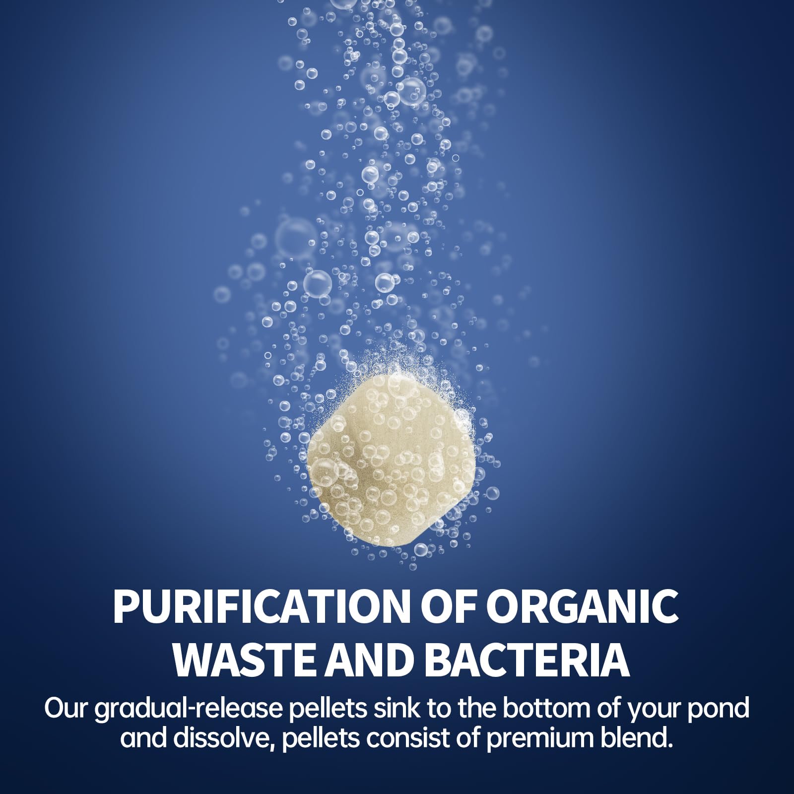DrPetum label and instructions detail for safe, correct application