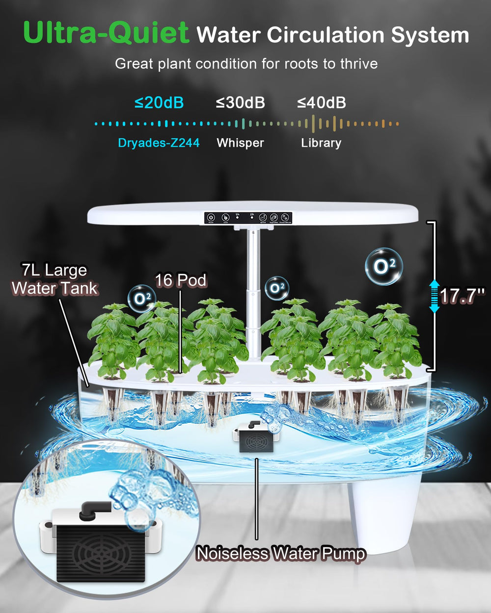 DRYADES size comparison on kitchen counter showing compact footprint and fit