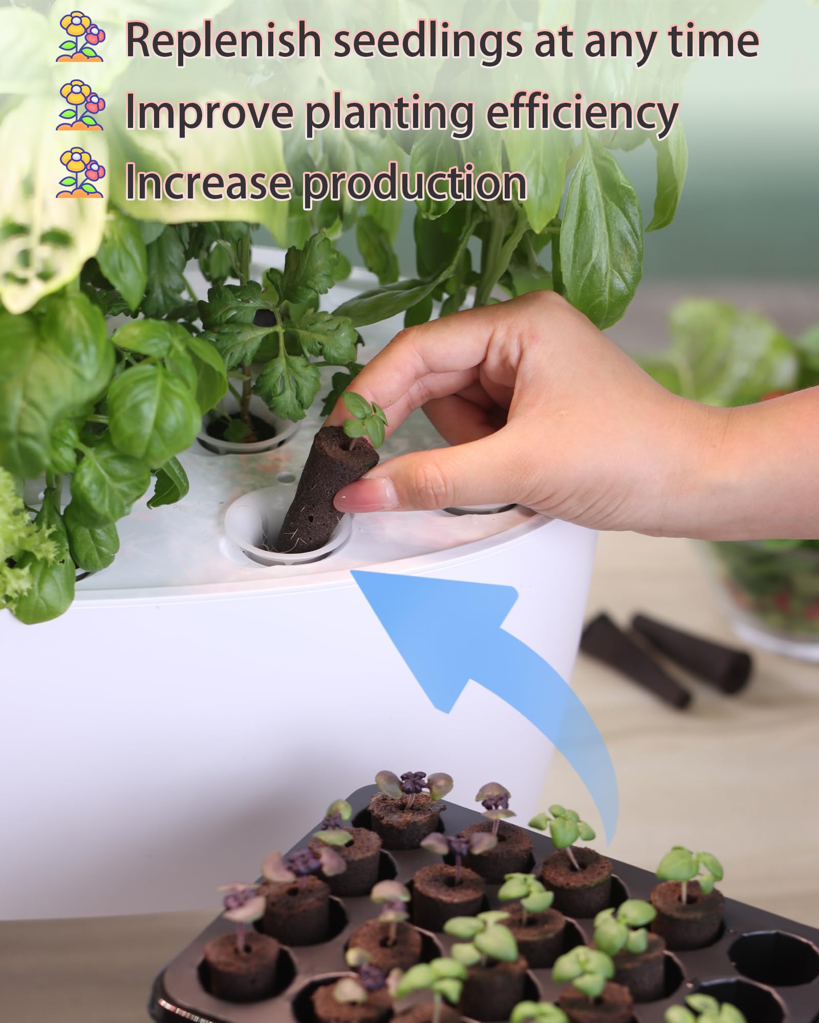 DRYADES upper tray filled with mature herbs showing dense growth and harvestability