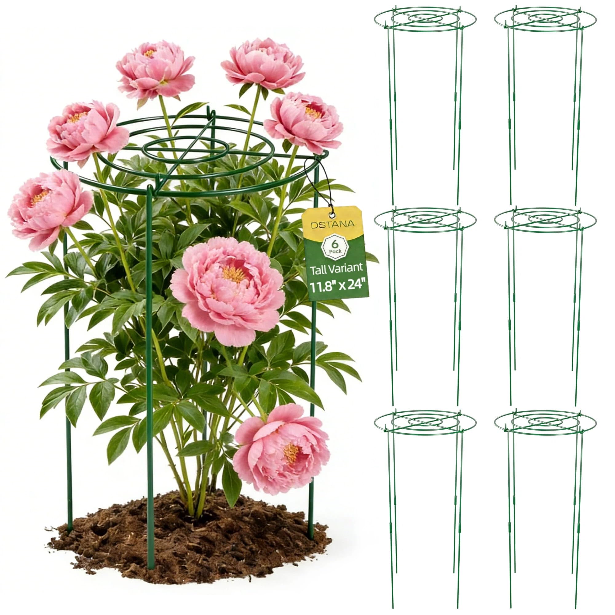 DSTANA front view of six peony cages showing packaging and included legs, durable support