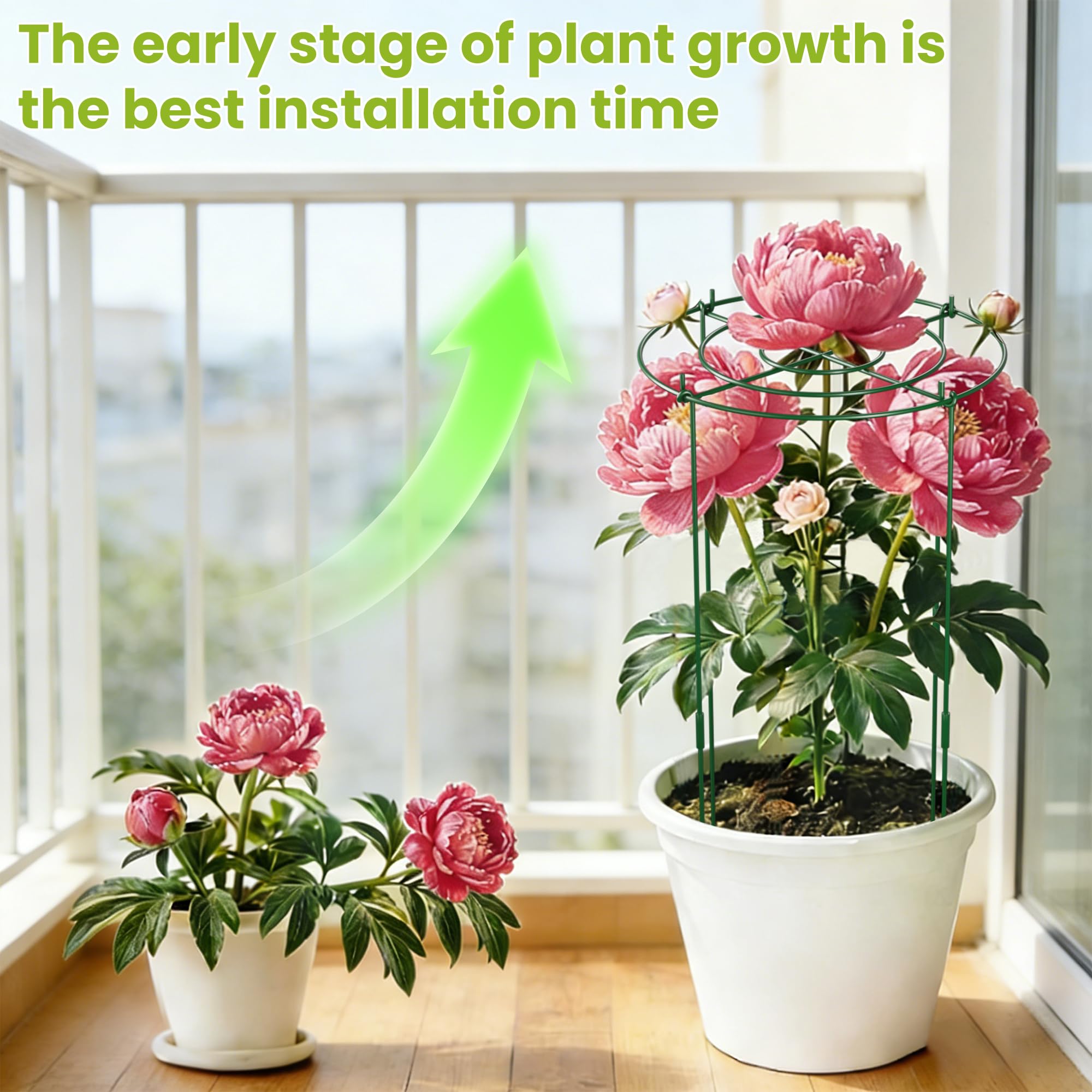 DSTANA peony cage holding heavy blooms upright to protect flowers from flopping