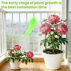 DSTANA peony cage holding heavy blooms upright to protect flowers from flopping